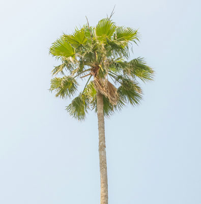 xx手機(jī)16系列_copy_copy